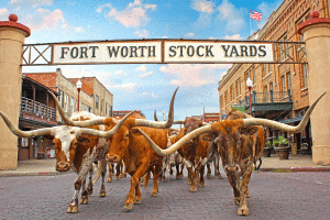 Famous Fort Worth Stock Yards Realtor